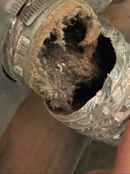 contact about air duct cleaning nj air duct cleaning in roseland dryer vent cleaning nj dryer vent cleaning in roseland contact about air duct cleaning nj air duct cleaning in roseland dryer vent cleaning nj dryer vent cleaning in roseland